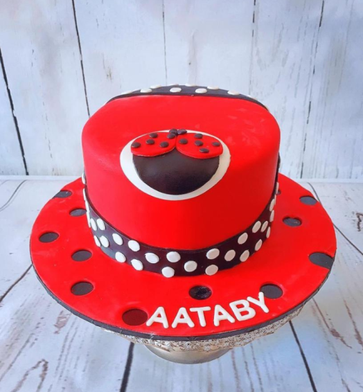 Lady Bug Cake (Fondant Covered Cake Decorated in Lady Bug Theme)